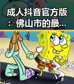成人抖音官方版：佛山市的最新动态解析