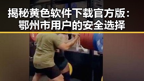 揭秘黄色软件下载官方版：鄂州市用户的安全选择
