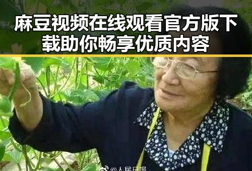 麻豆视频在线观看官方版下载助你畅享优质内容