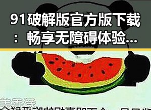 91破解版官方版下载：畅享无障碍体验的最佳选择