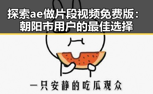 探索ae做片段视频免费版：朝阳市用户的最佳选择