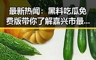 最新热闻：黑料吃瓜免费版带你了解嘉兴市最新动态
