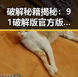 破解秘籍揭秘：91破解版官方版下载让你轻松体验精彩内容