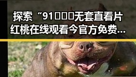 探索“91❌❌❌无套直看片红桃在线观看今官方免费版”的精彩世界