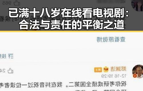 已满十八岁在线看电视剧：合法与责任的平衡之道