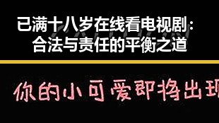 已满十八岁在线看电视剧：合法与责任的平衡之道