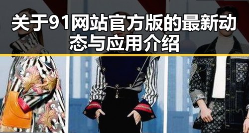 关于91网站官方版的最新动态与应用介绍