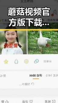 蘑菇视频官方版下载带你了解珠海市娱乐圈的变化