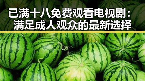 已满十八免费观看电视剧：满足成人观众的最新选择