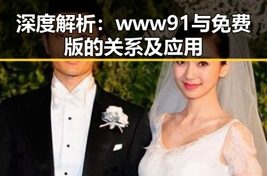 深度解析：www91与免费版的关系及应用
