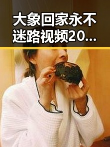 大象回家永不迷路视频2023最新版：感受动物温情的最新纪录