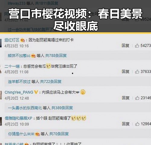 营口市樱花视频：春日美景尽收眼底
