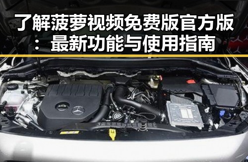 了解菠萝视频免费版官方版：最新功能与使用指南
