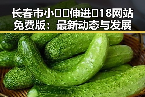 长春市小🐔🐔伸进🈲18网站免费版:最新动态与发展