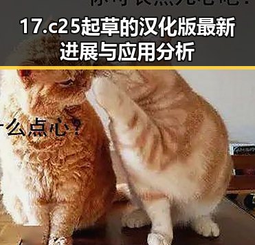 17.c25起草的汉化版最新进展与应用分析