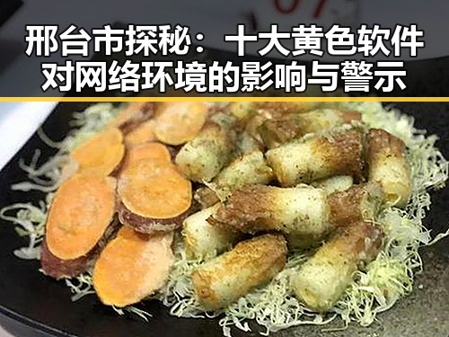 邢台市探秘：十大黄色软件对网络环境的影响与警示