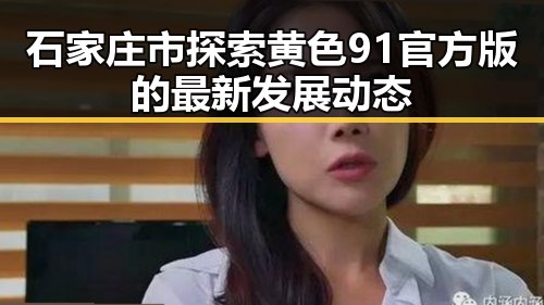 石家庄市探索黄色91官方版的最新发展动态