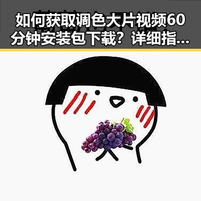 如何获取调色大片视频60分钟安装包下载？详细指南在这里