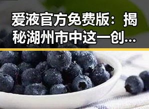 爱液官方免费版：揭秘湖州市中这一创新平台的背后故事