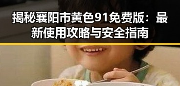揭秘襄阳市黄色91免费版：最新使用攻略与安全指南