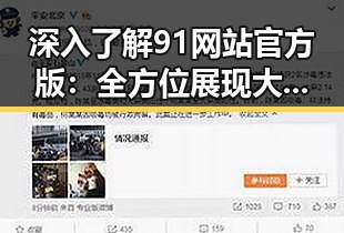 深入了解91网站官方版:全方位展现大连市的数字平台优势