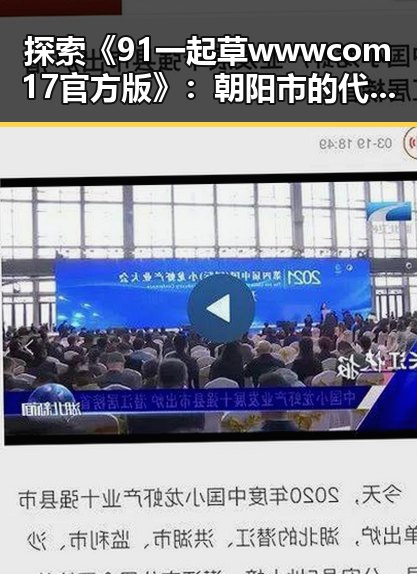 探索《91 一起草wwwcom17官方版》：朝阳市的代表性平台如何影响用户体验