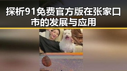探析91免费官方版在张家口市的发展与应用