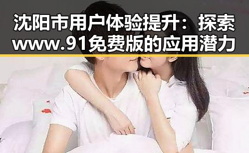 沈阳市用户体验提升：探索www.91免费版的应用潜力
