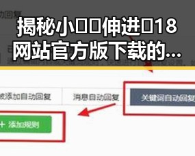 揭秘小🐔🐔伸进🈲18网站官方版下载的背后故事