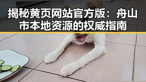 揭秘黄页网站官方版：舟山市本地资源的权威指南
