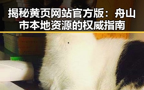 揭秘黄页网站官方版：舟山市本地资源的权威指南