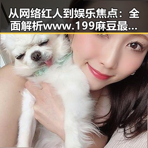 从网络红人到娱乐焦点：全面解析www.199麻豆最新版下载的现状与发展