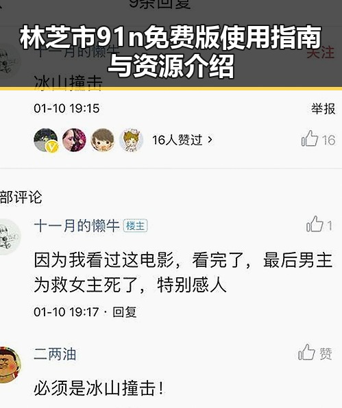 林芝市91n免费版使用指南与资源介绍