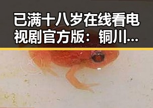已满十八岁在线看电视剧官方版：铜川市居民的最新选择