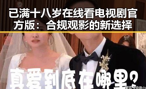已满十八岁在线看电视剧官方版:合规观影的新选择