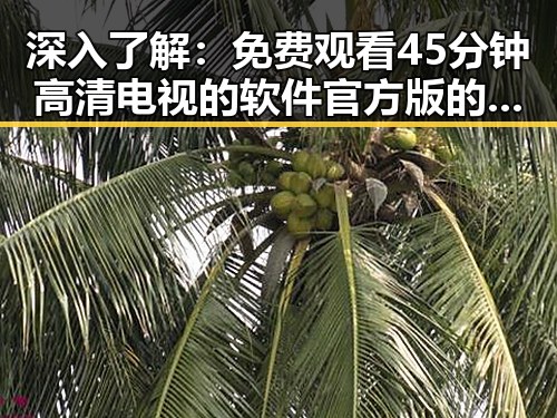 深入了解： 免费观看45分钟高清电视的软件官方版的现状与分析