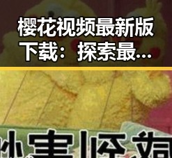 樱花视频最新版下载:探索最新动漫情侣互动的便捷途径