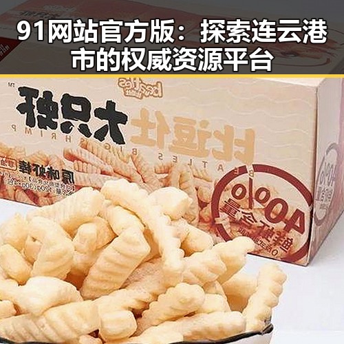 91网站官方版：探索连云港市的权威资源平台