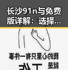长沙91n与免费版详解：选择合适版本的关键指南