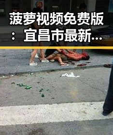 菠萝视频免费版：宜昌市最新免费视频资源介绍