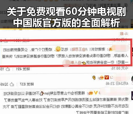 关于 免费观看60分钟电视剧中国版官方版的全面解析