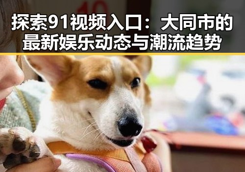 探索91视频入口：大同市的最新娱乐动态与潮流趋势