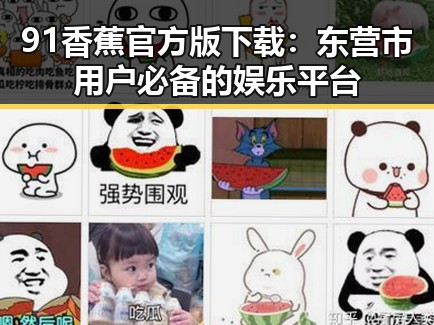 91香蕉官方版下载：东营市用户必备的娱乐平台
