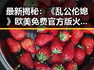 最新揭秘：《乱公伦媳》欧美免费官方版火热上线，眉山市玩家热烈追捧