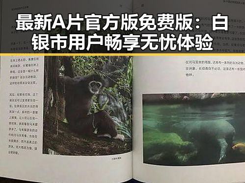 最新A片官方版免费版：白银市用户畅享无忧体验