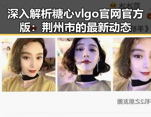 深入解析糖心vlgo官网官方版：荆州市的最新动态