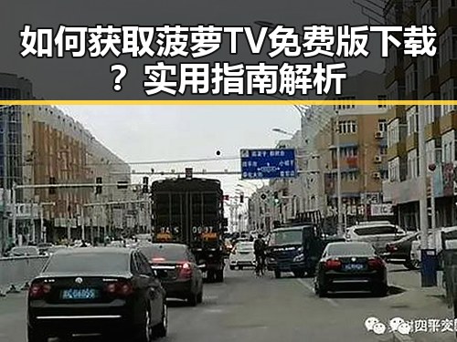 如何获取菠萝TV免费版下载？实用指南解析