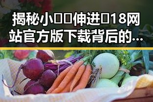 揭秘小🐔🐔伸进🈲18网站官方版下载背后的真相