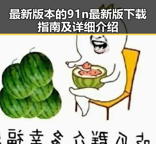 最新版本的91n最新版下载指南及详细介绍