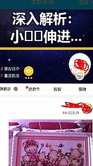深入解析：小🐔🐔伸进🈲🔞🔞A免费版官方版的现状与影响